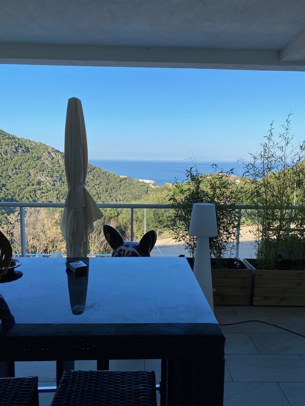 تناول الطعام بالخارج