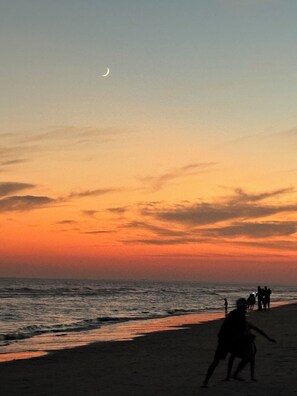 On the beach, sun-loungers