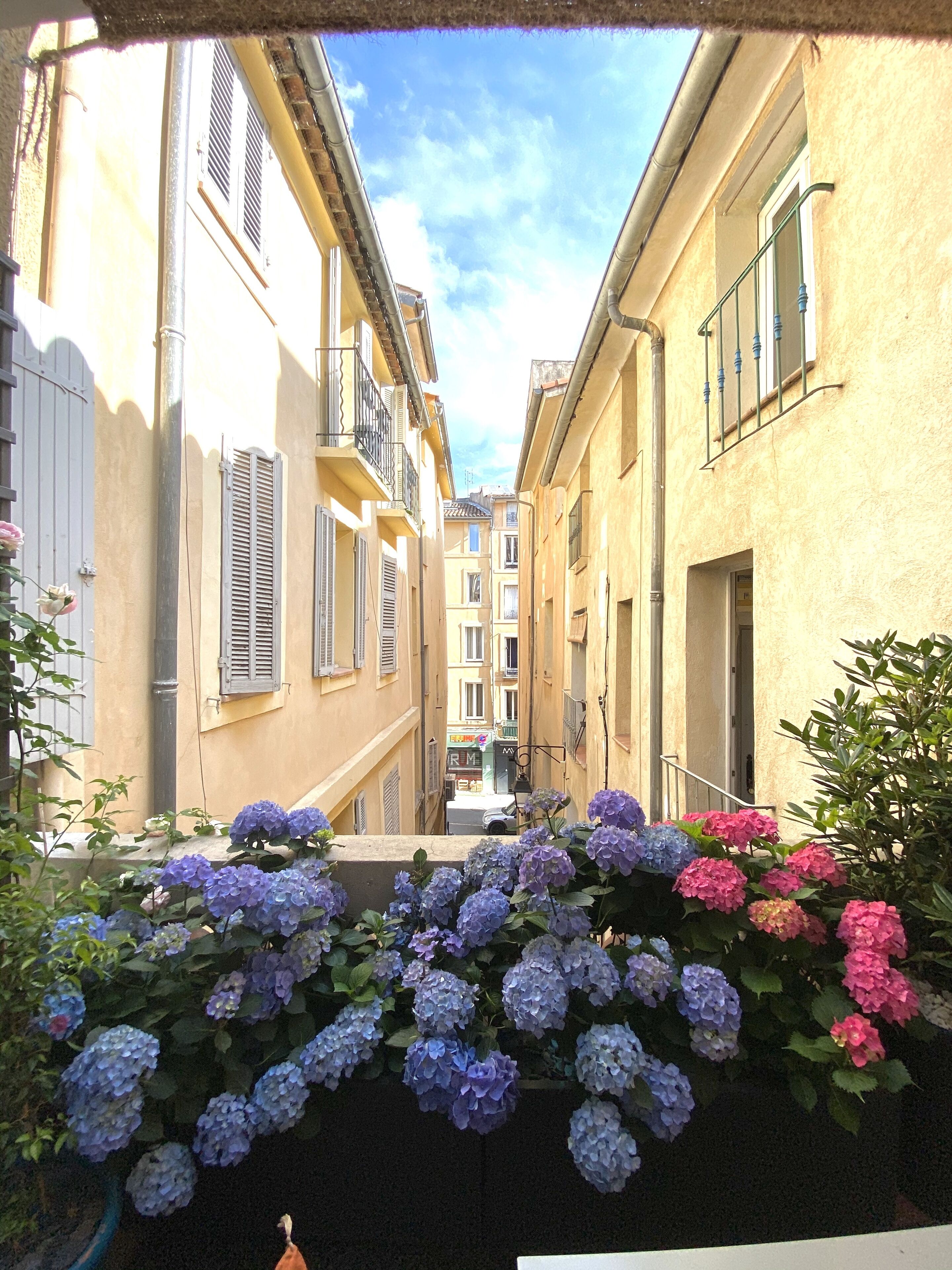 A narrow street with buildings on either side, a clear sky, and hanging hydrangea flowers.