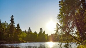 A serene lakeside scene with dense forest and sunlight reflecting on the water. - Stunning home in Sjusjøen with sauna (Sjusjøen)