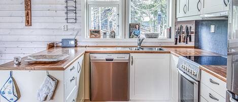 Fridge, oven, stovetop, dishwasher