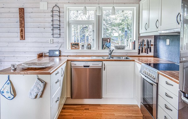 Fridge, oven, stovetop, dishwasher