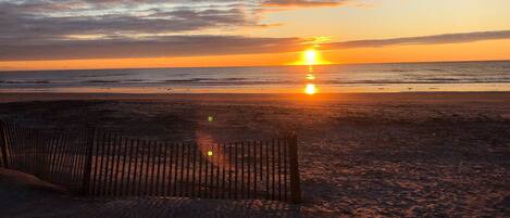 Plage à proximité, chaises longues, serviettes de plage