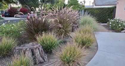 Neighborhood Cottage two blocks from Ventura Blvd. in Tarzana