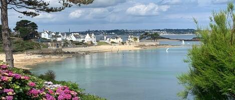 Playa en los alrededores