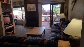 TV, fireplace, DVD player, books