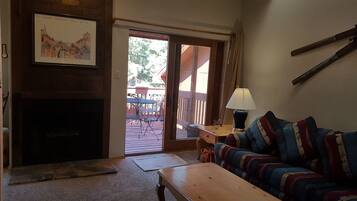 TV, fireplace, DVD player, books