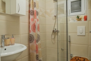 Shower, hair dryer, bidet, towels