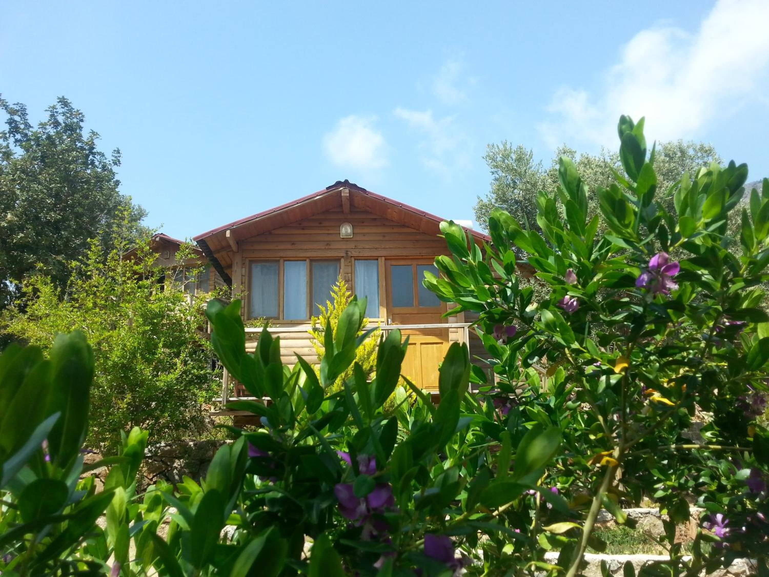 A wooden cabin with a sloped roof, large windows, and surrounded by greenery and trees.