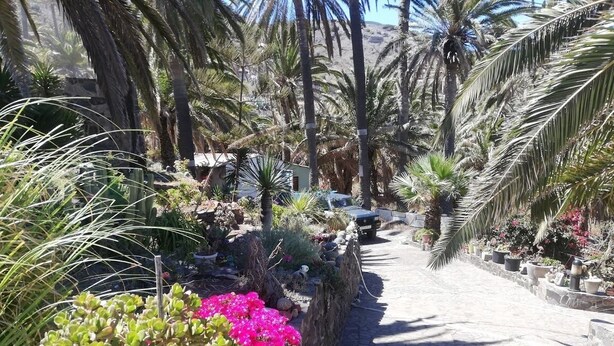 Un chemin pavé, bordé d’une végétation luxuriante et de plantes en pot, mène à un bâtiment.