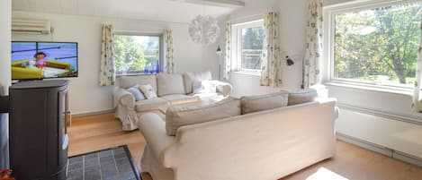 Télévision, cheminée, lecteur de DVD