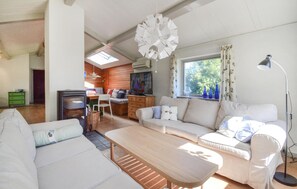 Fernseher, Kamin, DVD-Player