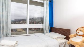 Standard Apartment | View from room