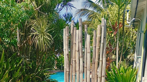 Une terrasse avec une piscine, entourée d’une végétation luxuriante et d’une clôture en bambou.