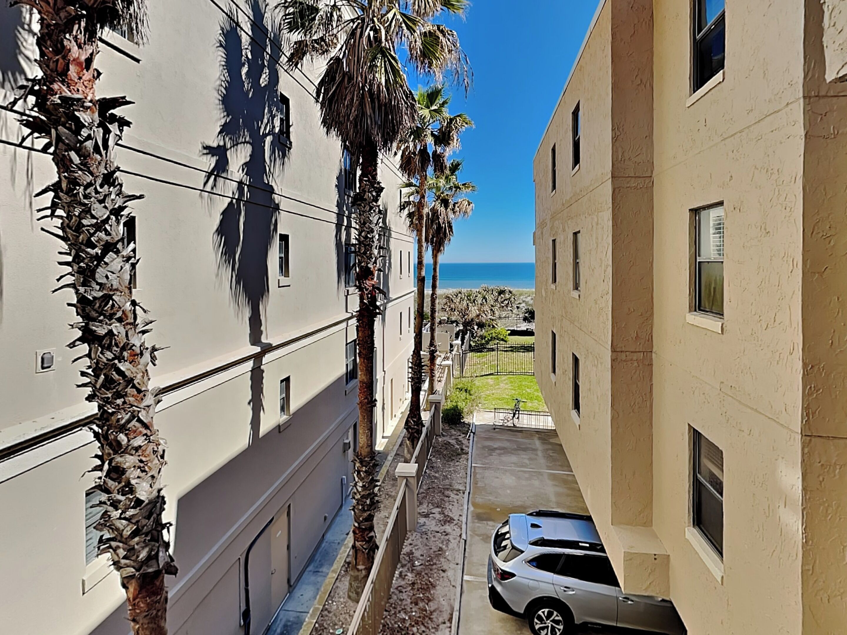 A narrow street with buildings on either side, palm trees lining the street, and a clear view of the ocean in the distance.