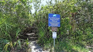 A sign for St. Johns County Beach Access Walkover with a turtle symbol, surrounded by dense vegetation.