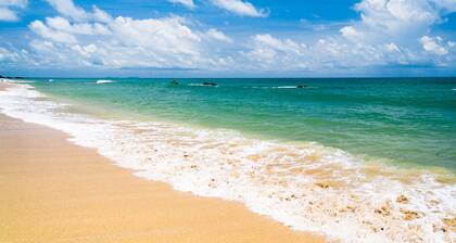 Ocean's Edge