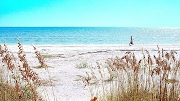 House (4 Bedrooms) | Property amenity