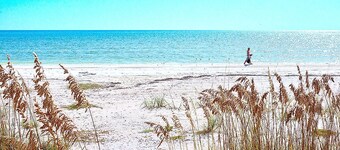 Serrano 201 by Distinctive Beach Rentals