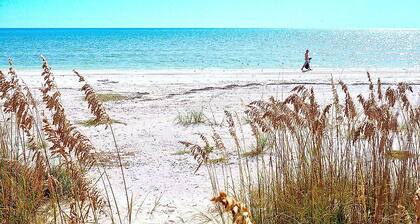 Serrano 201 by Distinctive Beach Rentals