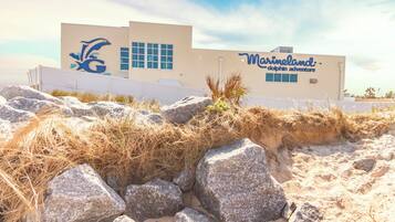 Kondominium (2 Bedrooms) | Fasilitas properti