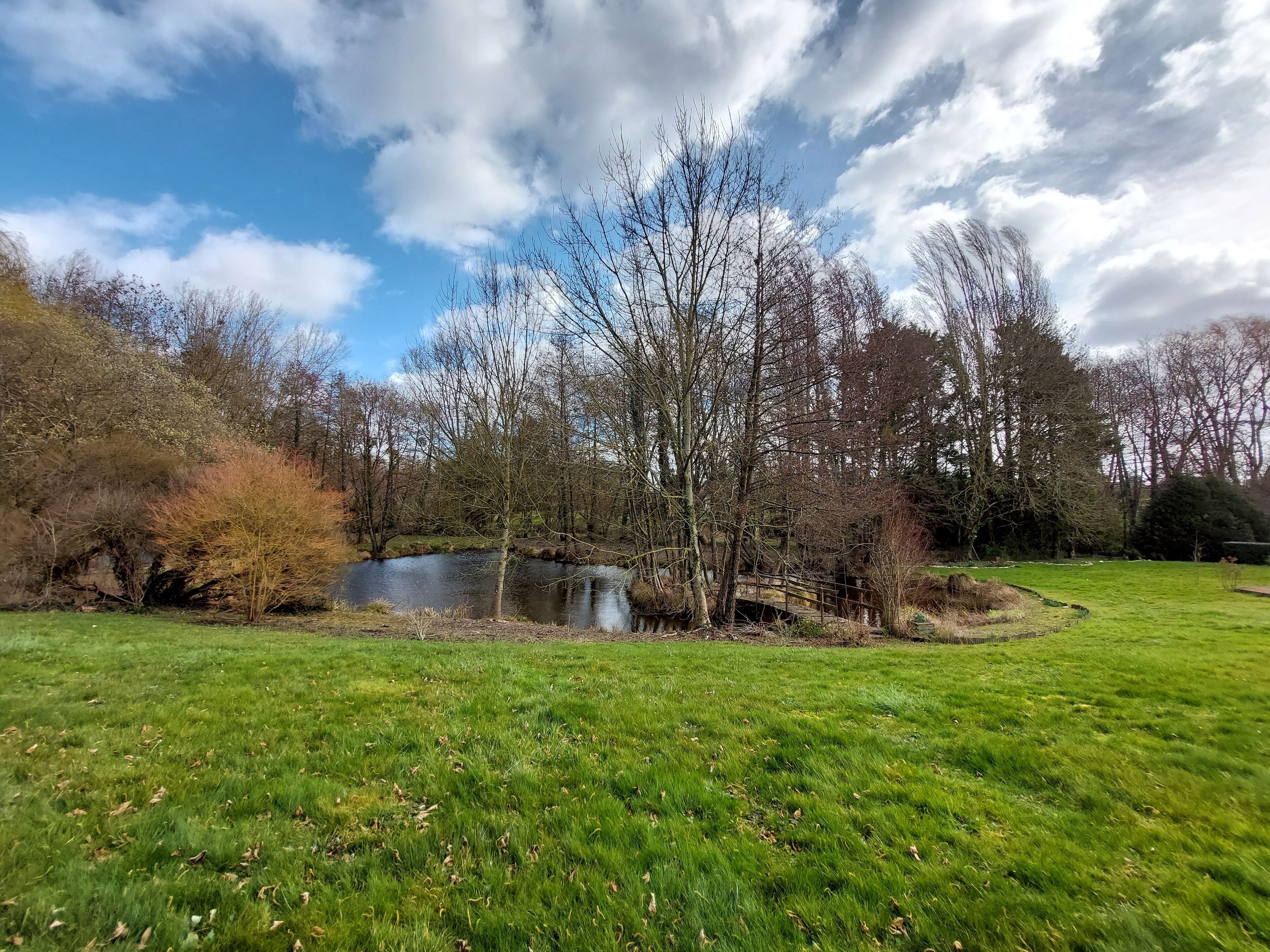 A grassy field with a pond and trees.
