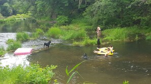 Botón de imagen sin clasificar, 2 de 40