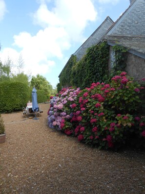 Áreas de la propiedad