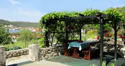 Vacation House Viskic