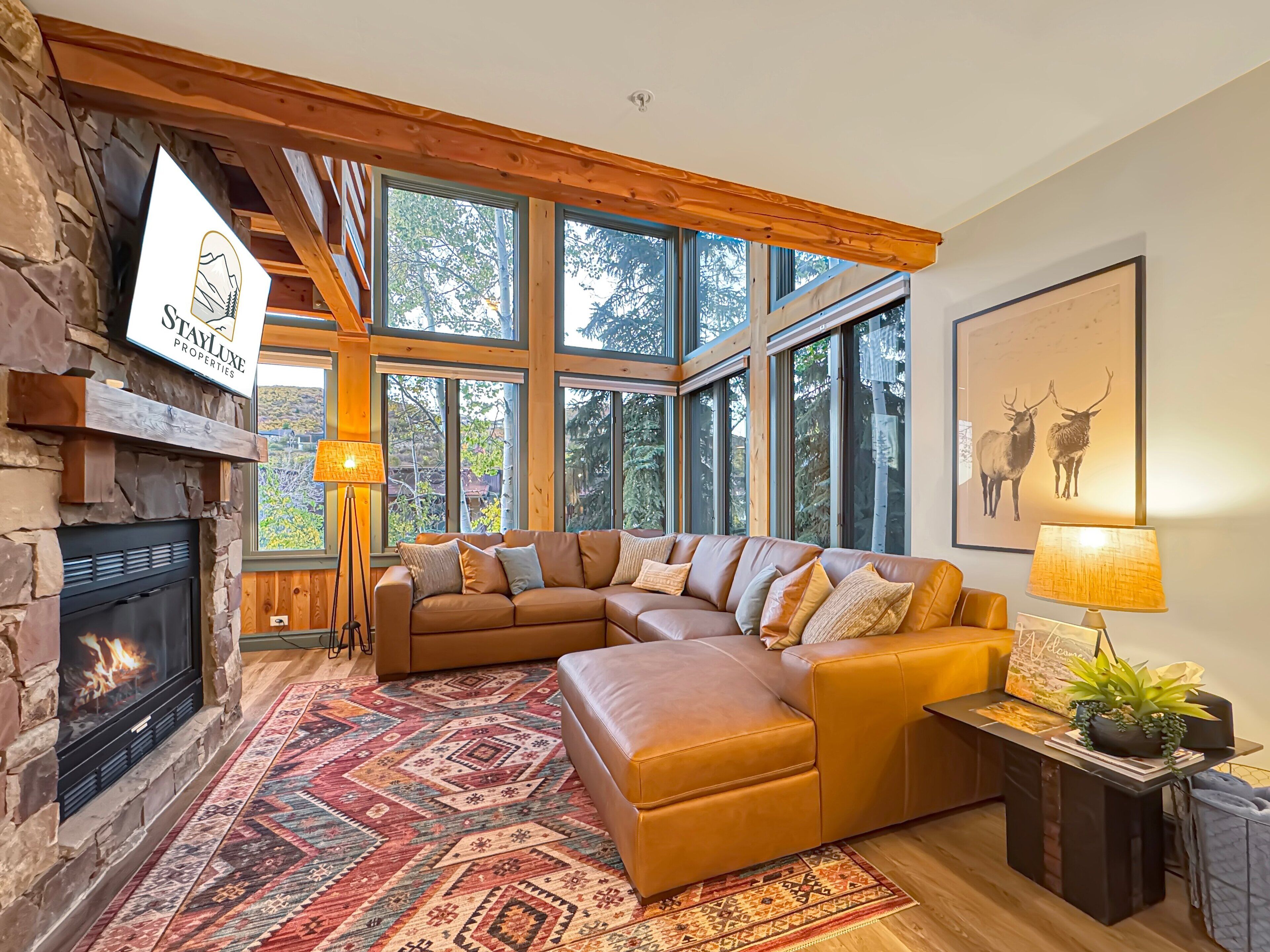 Een smart-tv, een open haard en boeken