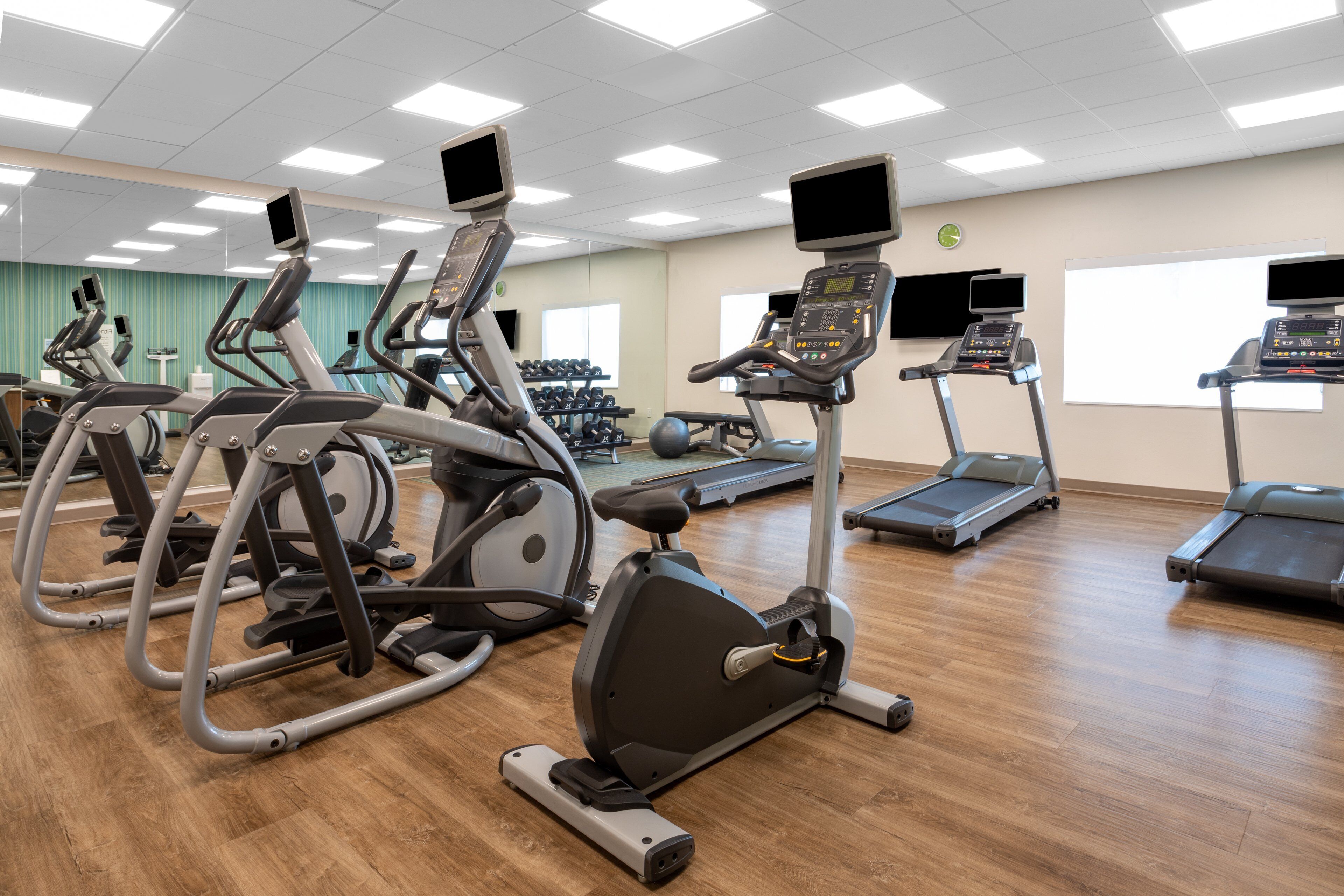 A gym with multiple treadmills, elliptical machines, and a variety of weights.