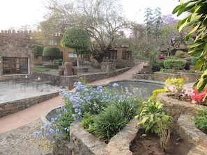 Jardí