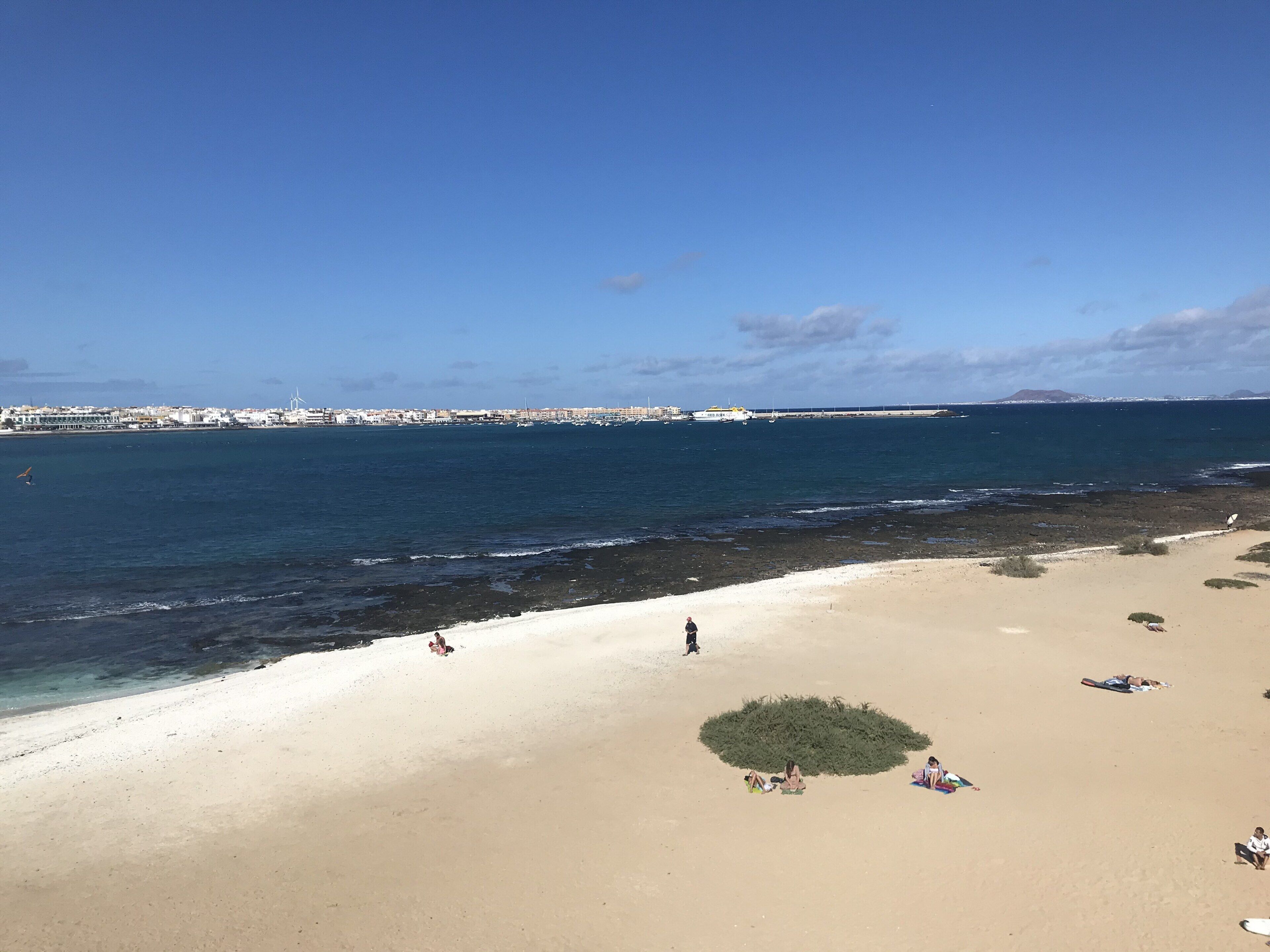 ビーチ