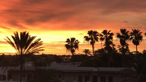 Um pôr do sol com palmeiras recortadas contra um céu vibrante, e edifícios em primeiro plano.