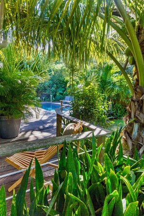 Une terrasse en bois avec une piscine, entourée d’une végétation tropicale luxuriante.