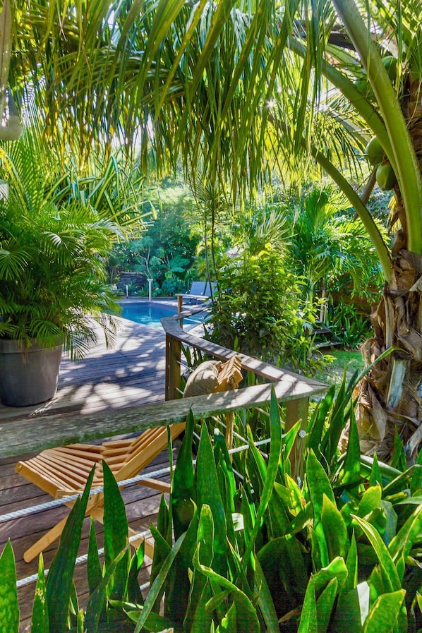 Une terrasse en bois avec une piscine, entourĂ©e dâune vĂ©gĂ©tation tropicale luxuriante.