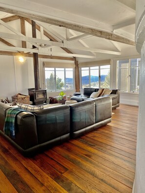 TV, fireplace, books