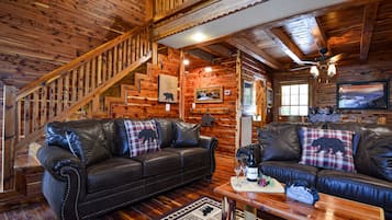 TV, fireplace, DVD player