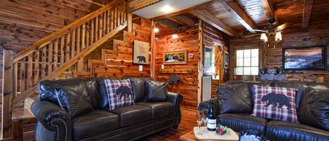 TV, fireplace, DVD player