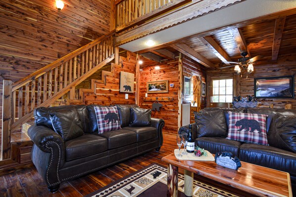 TV, fireplace, DVD player