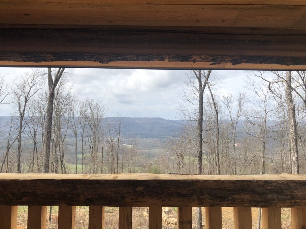 Wendell Tree Top View