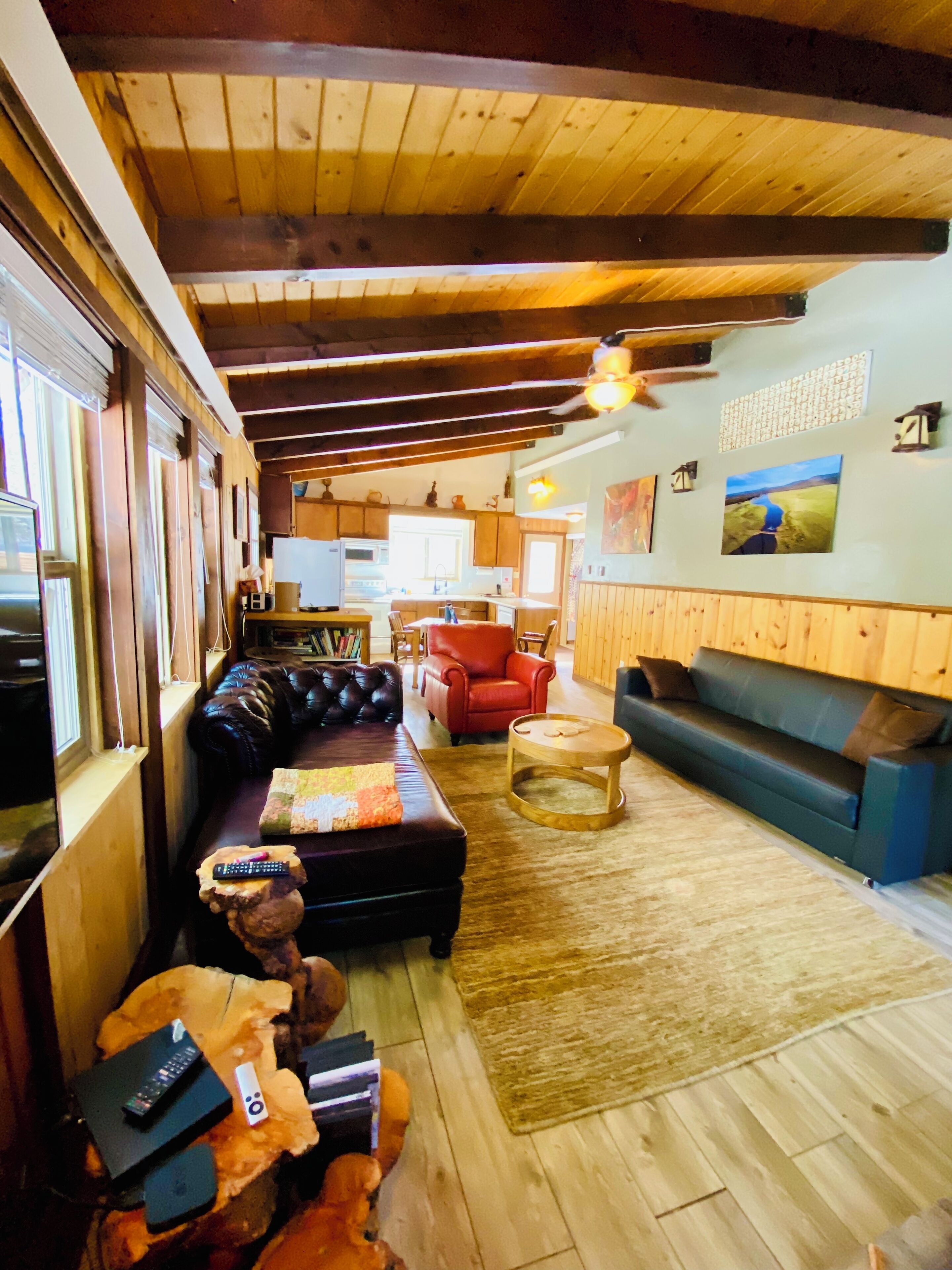 Smart TV, fireplace, DVD player, books