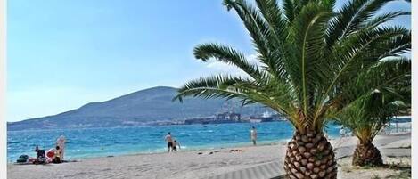 بالقرب من الشاطئ