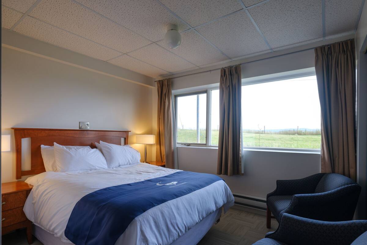 Economy Room | Free WiFi, bed sheets
