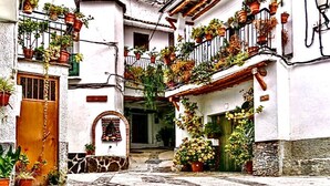 A narrow street with buildings on either side, each adorned with potted plants and flowers. - Nice House in Busquistar (Busquístar)