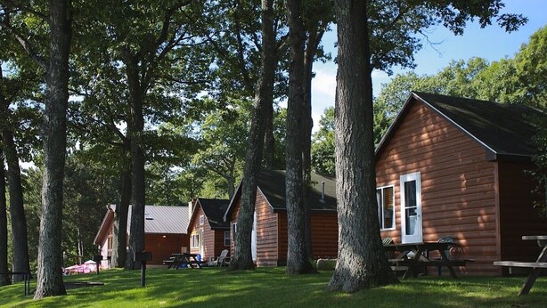 A row of log cabins with picnic tables and chairs in a grassy area surrounded by trees.