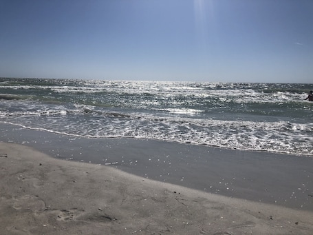 Beach nearby, sun-loungers, beach towels. UPDATED REMODELED CONDO- NO STAIRS 3 MILES TO THE BEACH! PETS ok! HEATED POOL !