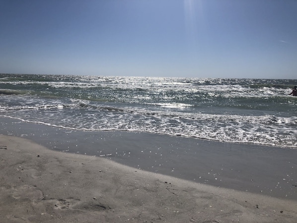 Beach nearby, sun loungers, beach towels - UPDATED REMODELED CONDO- NO STAIRS 2 MILES TO THE BEACH! PETS ok! HEATED POOL (Seminole)