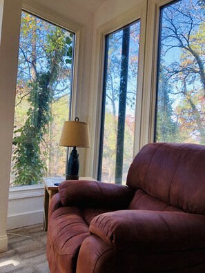 Smart TV, fireplace, offices