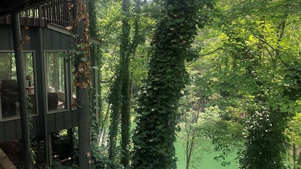 Um deck de madeira com vista para uma área arborizada e um corpo d'água.